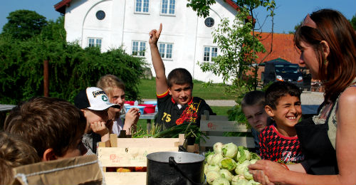 Børn får appetit på sund mad, når de er med i Haver til Maver, viser forskning fra DPU. Foto: Ulla Skovsbøl