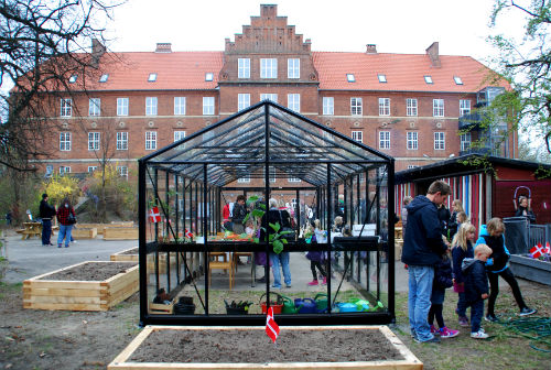 Det nye drivhus i skolegården på Amager Fælled Skole. Foto: Ulla Skovsbøl